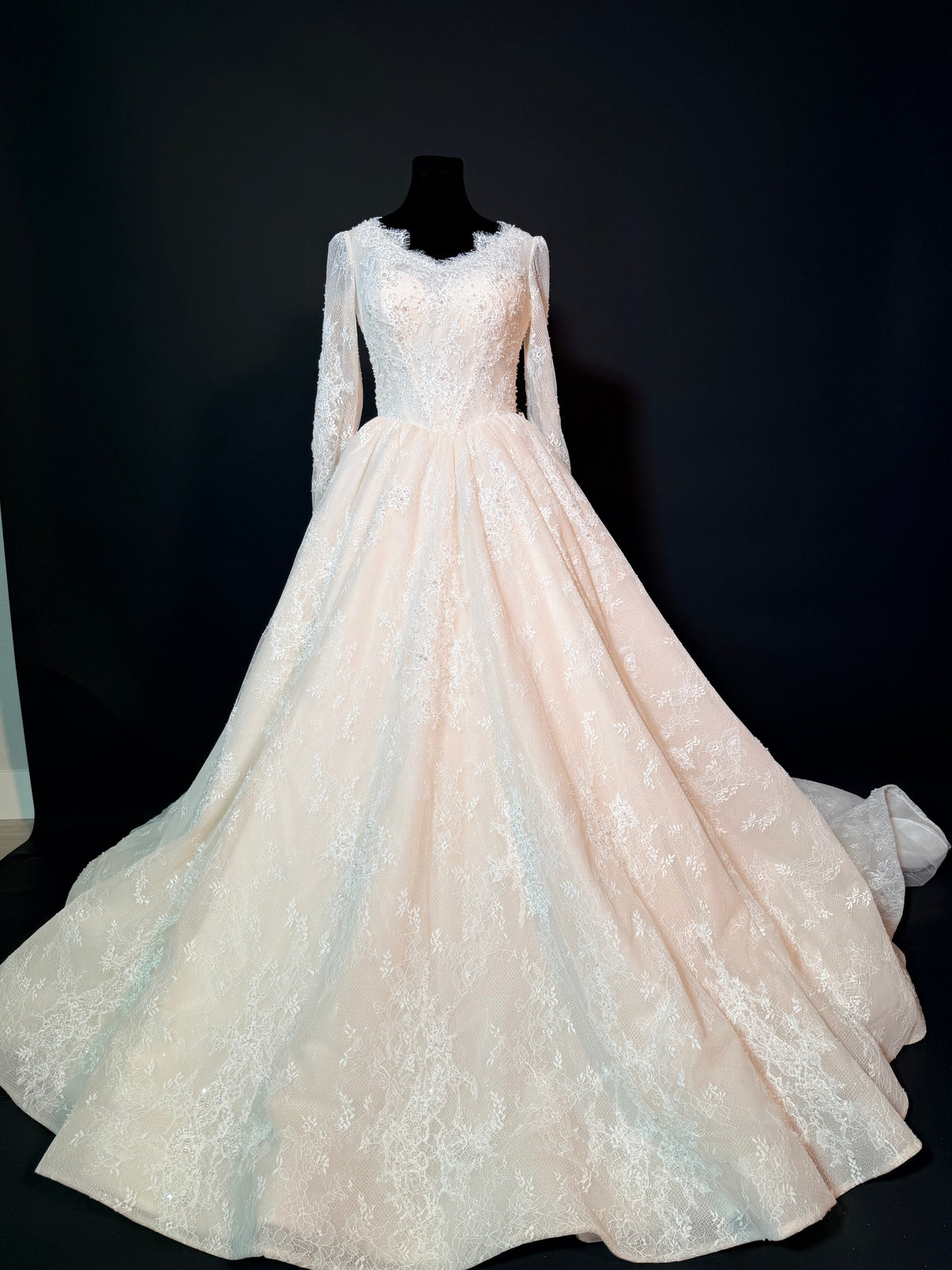 Wedding dress with sparkle lace — photograph 1 of 10