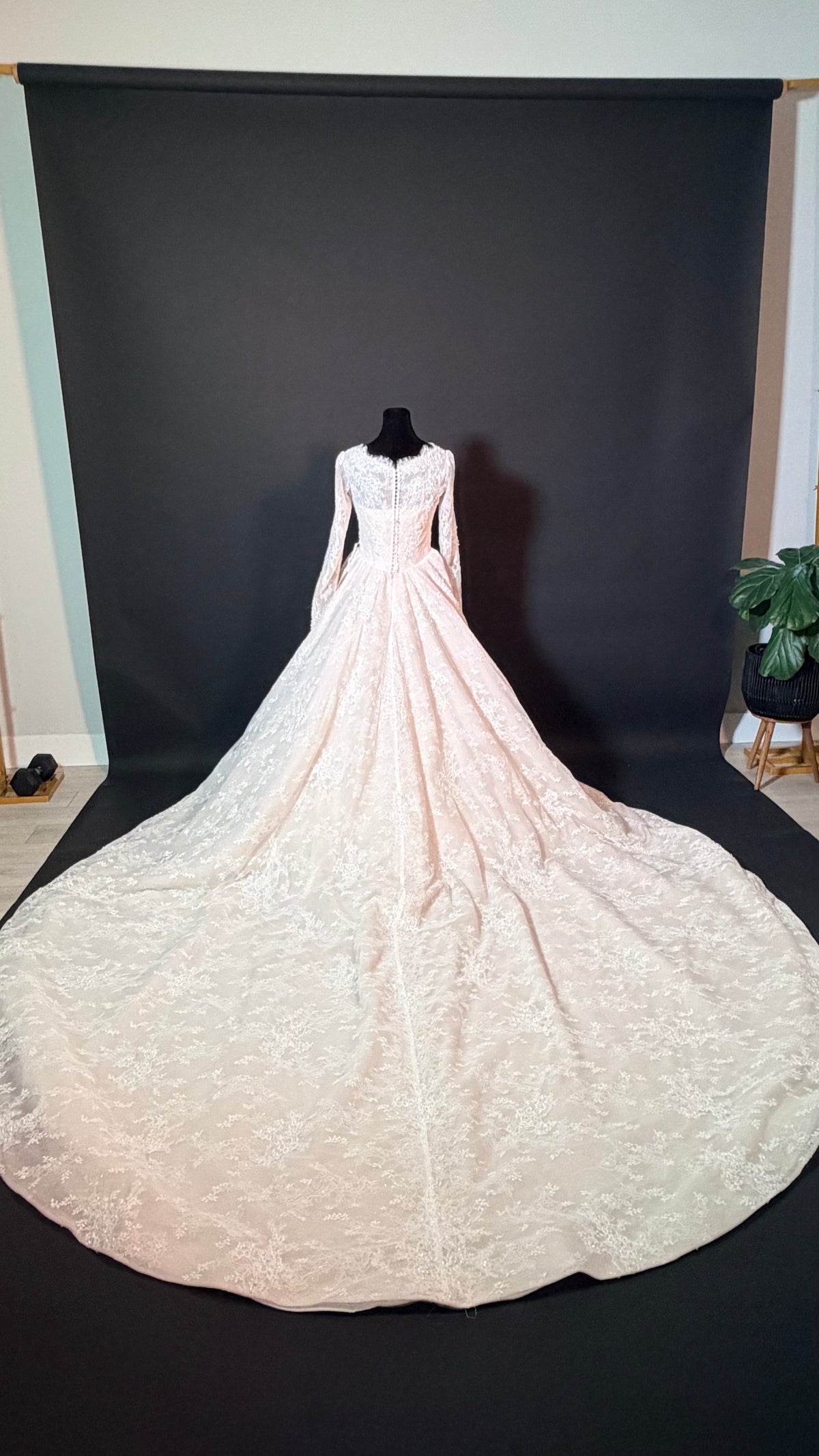 Wedding dress with sparkle lace — photograph 7 of 10