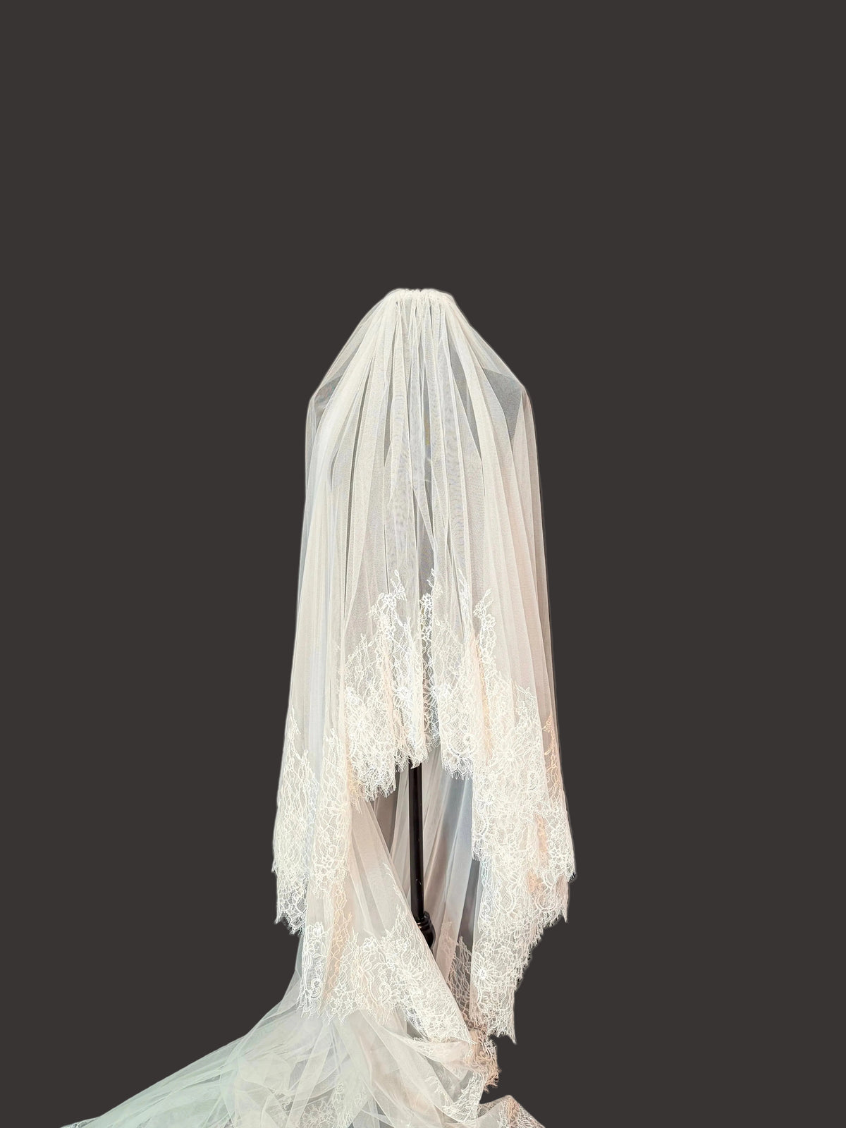 Floral Chantalle Lace, Cathedral Veil — photograph 4 of 4