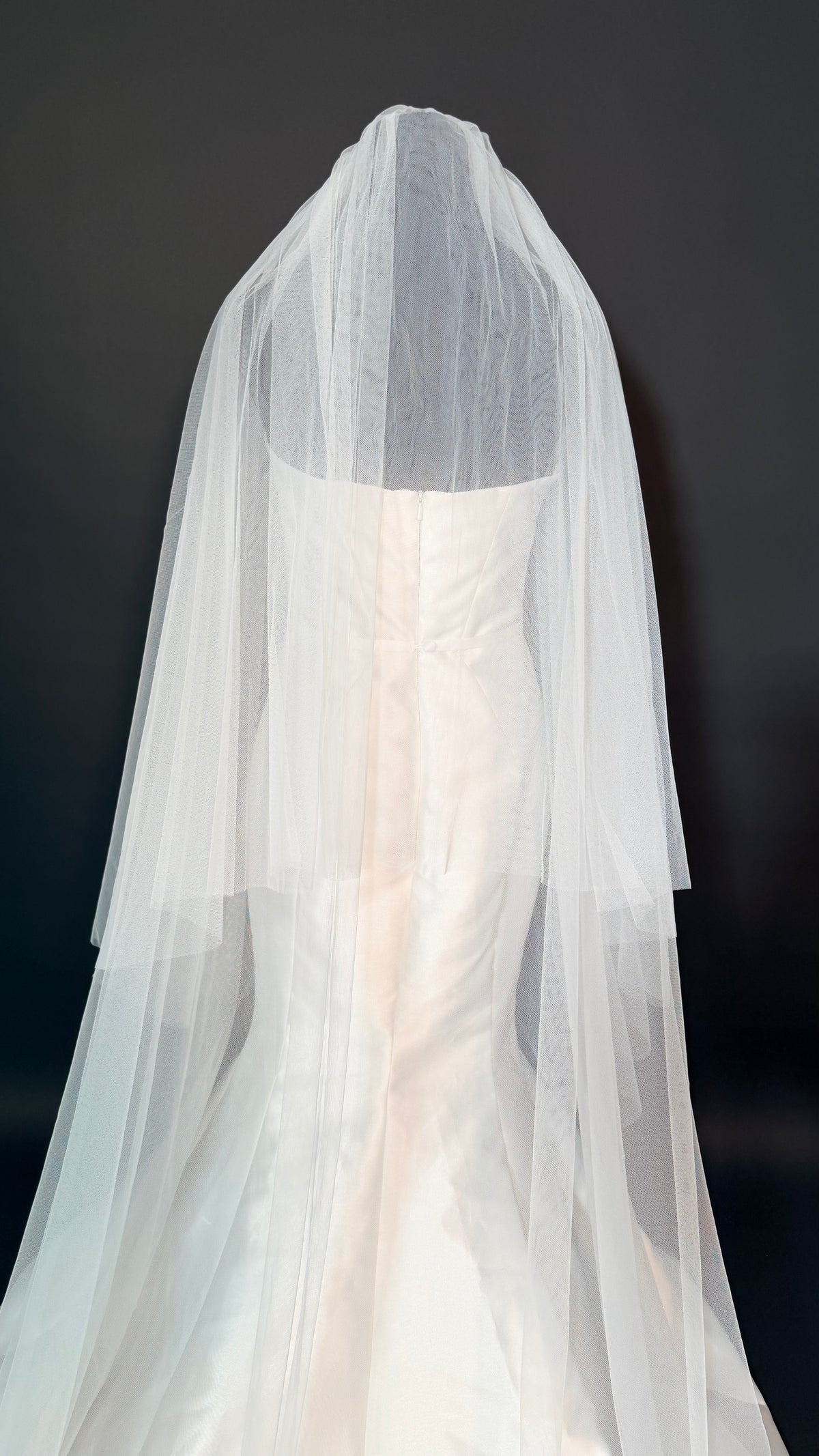 Double Layer Simple Cathedral Veil — photograph 4 of 6