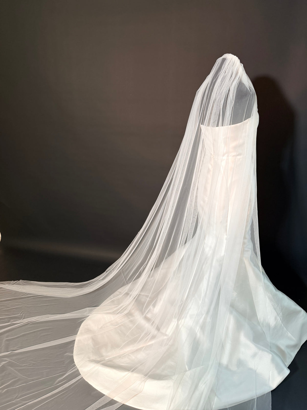 Double Layer Simple Cathedral Veil — photograph 6 of 6