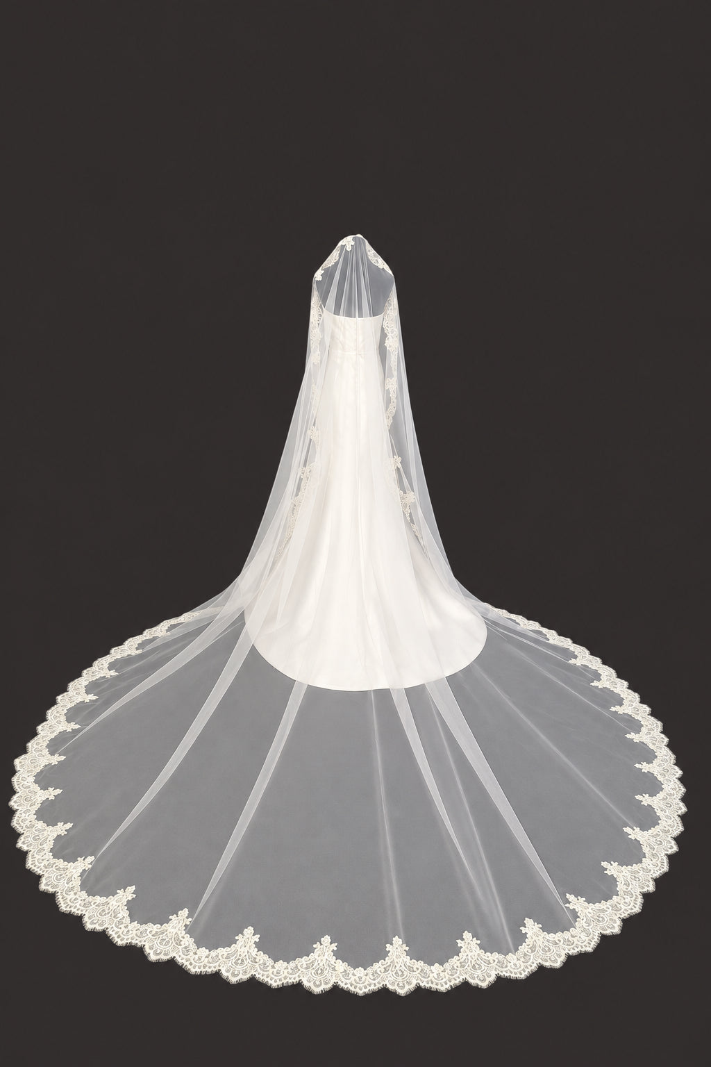 Cathedral Mantila Veil — photograph 1 of 4