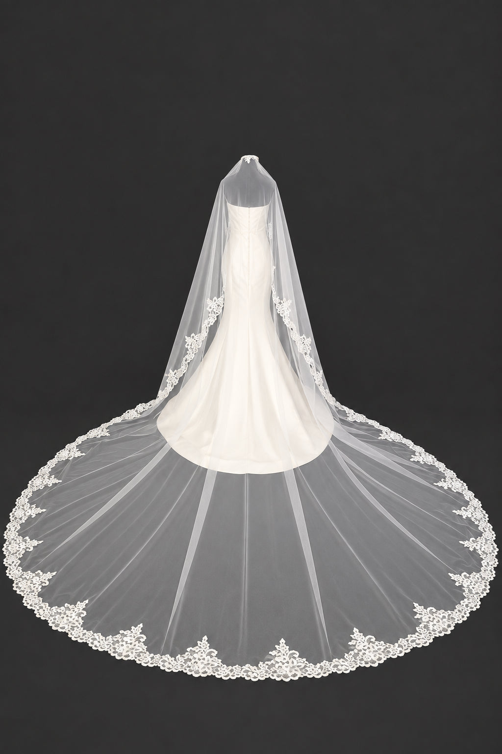 Cathedral Lace Mantilla Veil — photograph 1 of 5