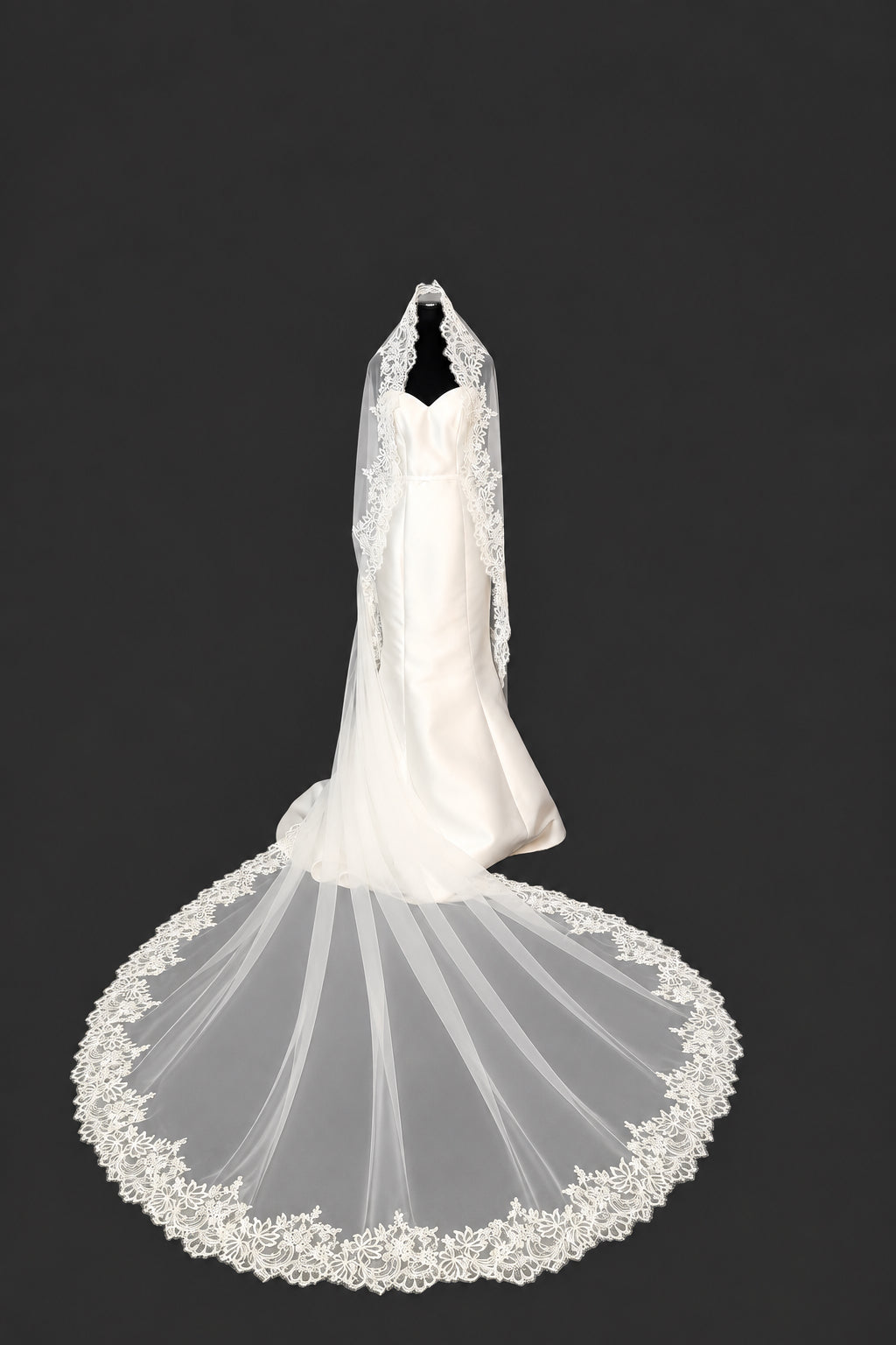 Cathedral Mantilla Veil — photograph 4 of 6
