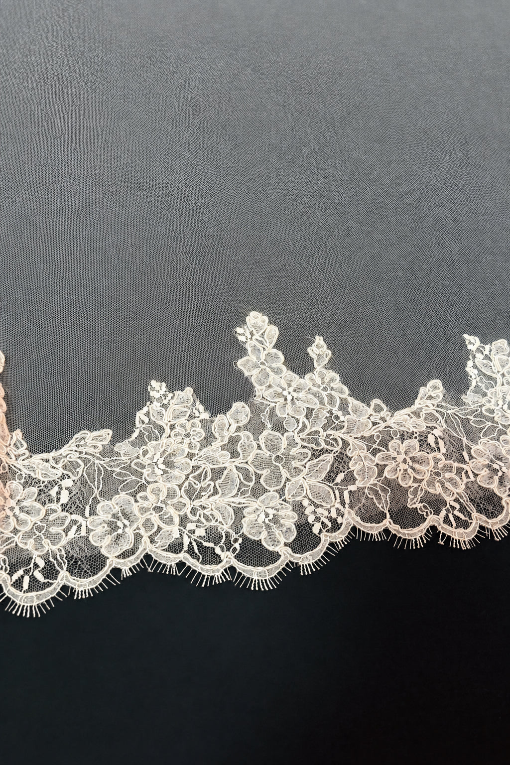 Cathedral Mantilla Veil — photograph 2 of 6