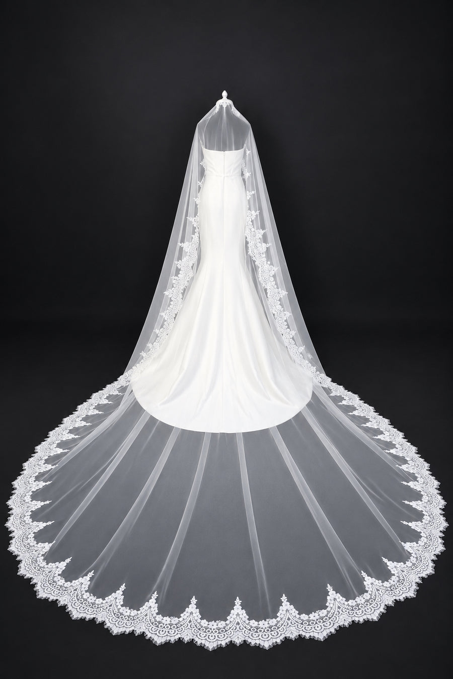 Cathedral Mantilla Veil, Soft Lace