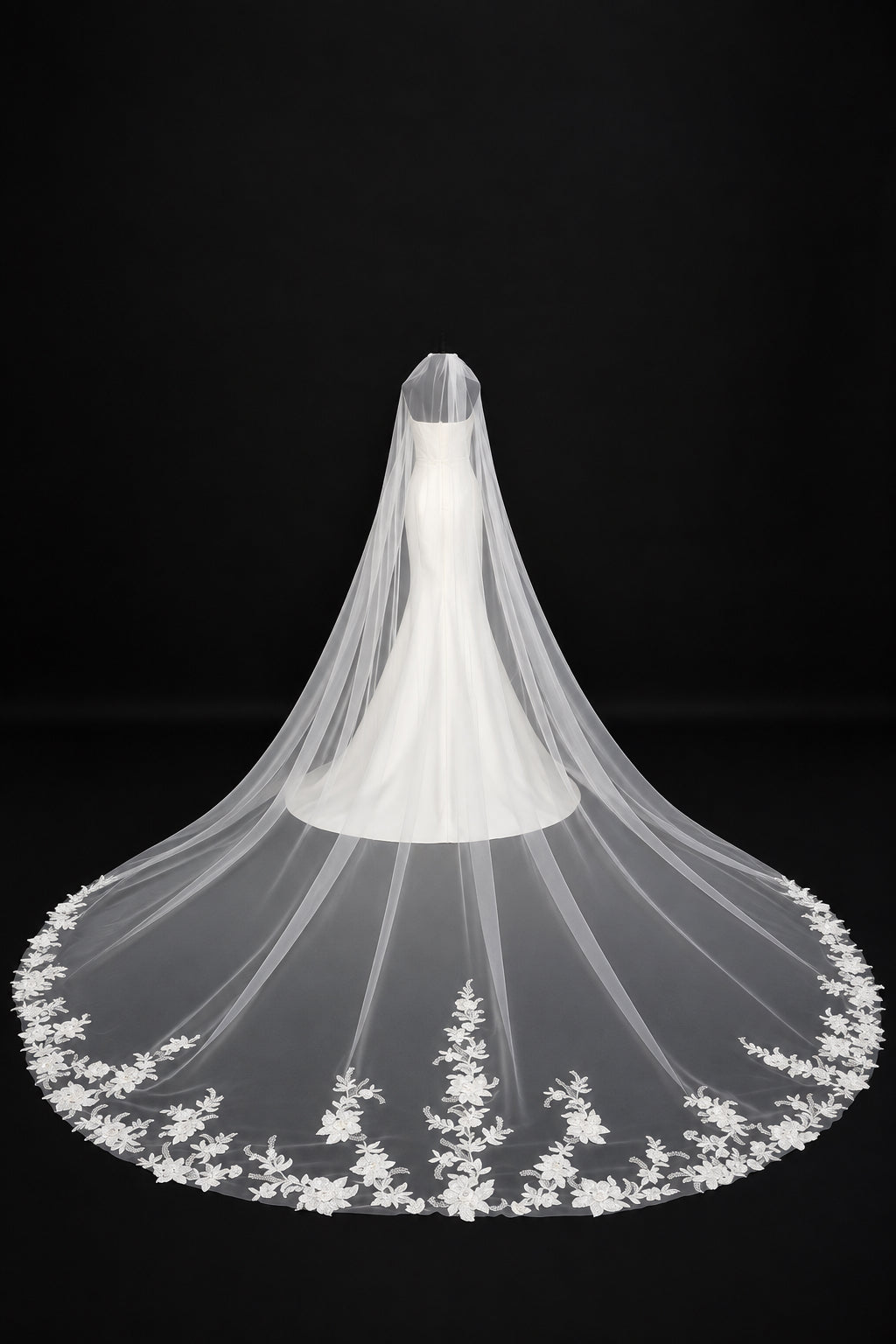Cathedral Veil with Embroidered Lace — photograph 1 of 3