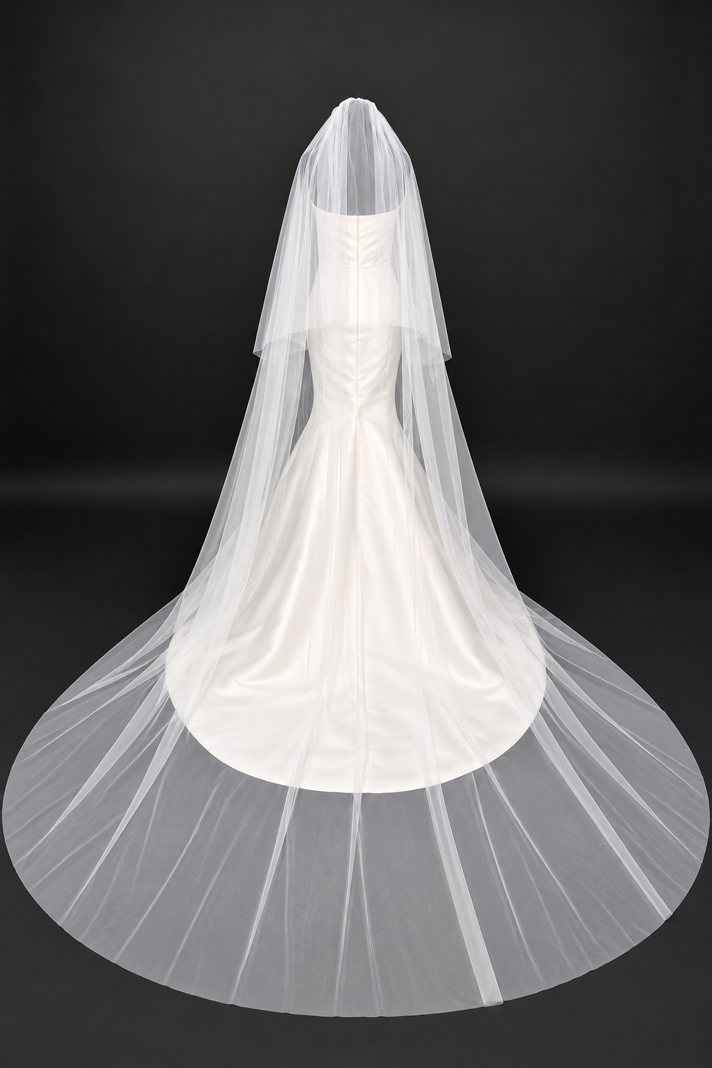 Double Layer Simple Cathedral Veil — photograph 1 of 6