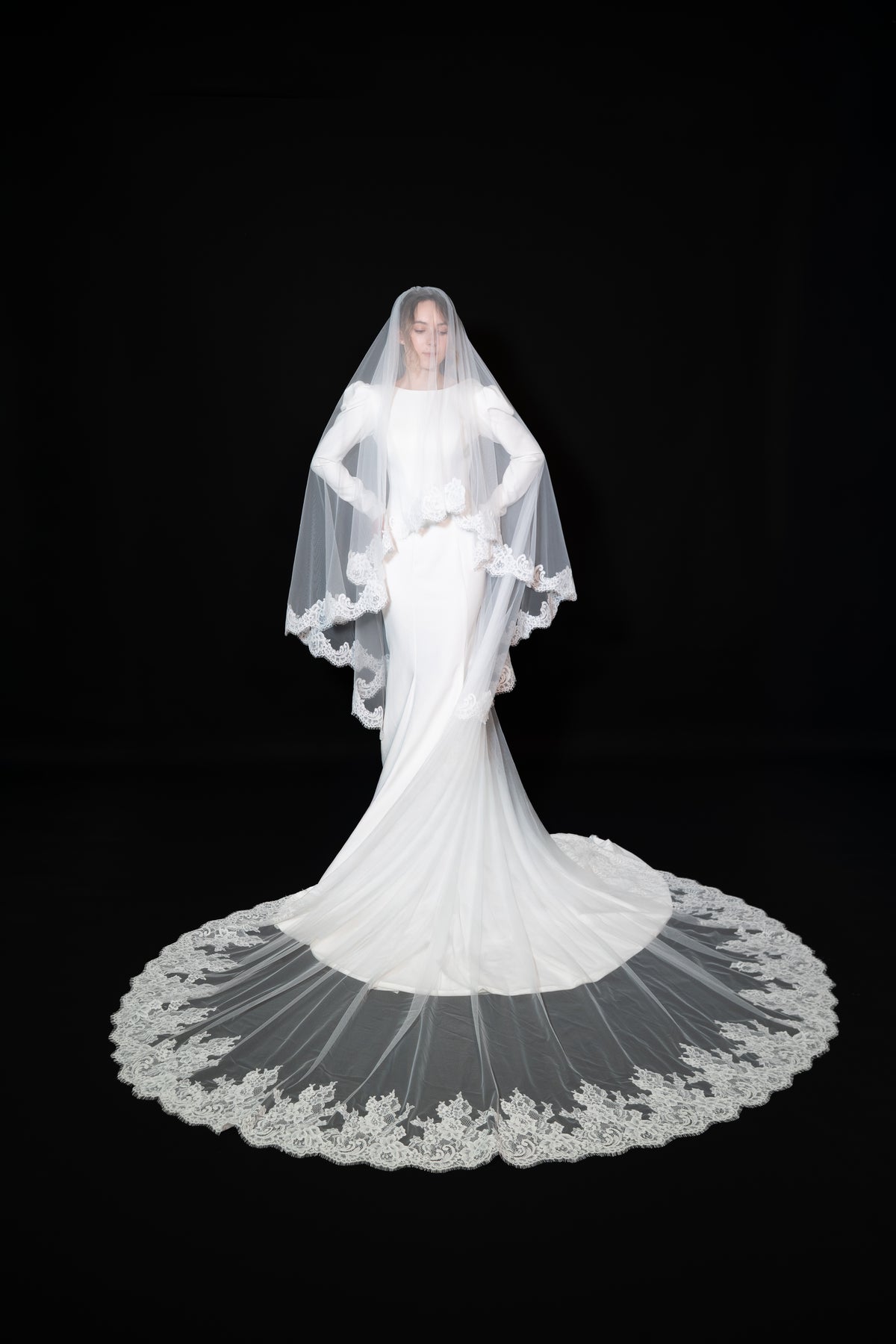 Lace Cathedral Veil with Blusher — photograph 2 of 7